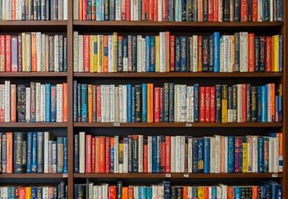 Shelf filled with new books.